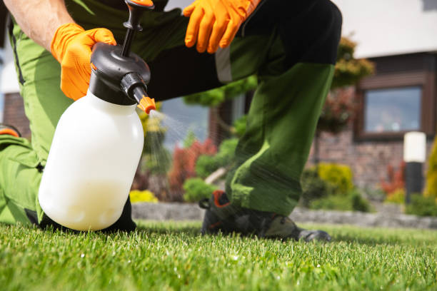 Best Pest Removal Services  in Dale, IN