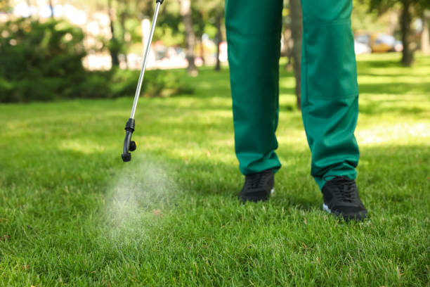 Best Pest Control Near Me  in Dale, IN