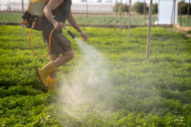 Best Best Pest Control Companies  in Dale, IN