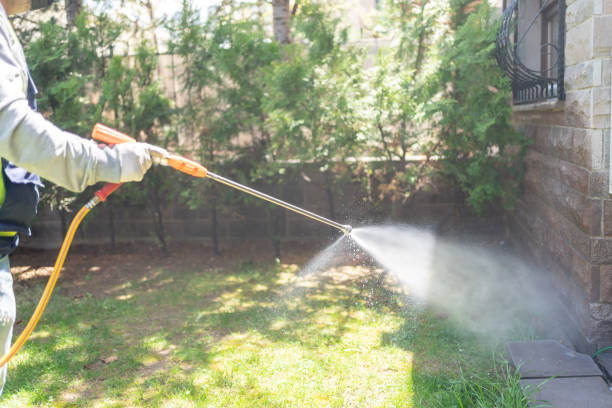 Best Termite Control Services  in Dale, IN