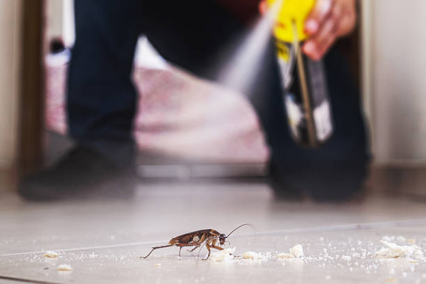 Best Commercial Pest Control Services  in Dale, IN