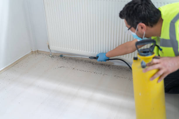 Best Cockroach Control Services  in Dale, IN